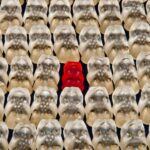 Unsual things to do in Paris PARIS BY EMY Paris Trip Planner