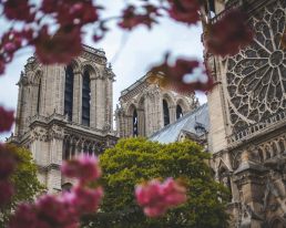 Notre Dame sacred place PARIS BY EMY trip planner